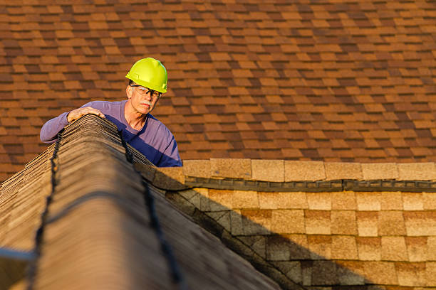 Best Gutter Installation and Roofing  in Carson City, MI