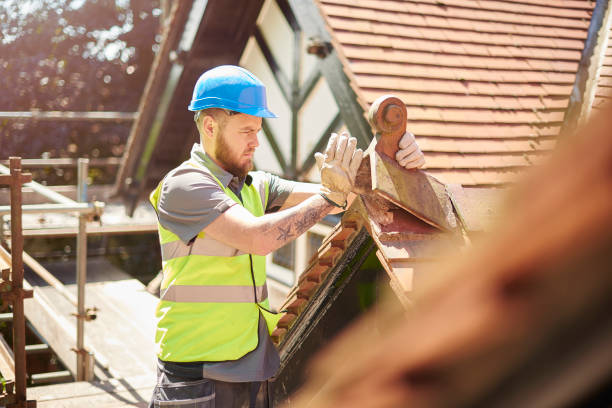 Best Roof Repair Services  in Carson City, MI