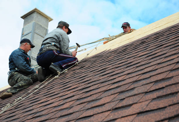 Best Gutter Installation and Roofing  in Carson City, MI
