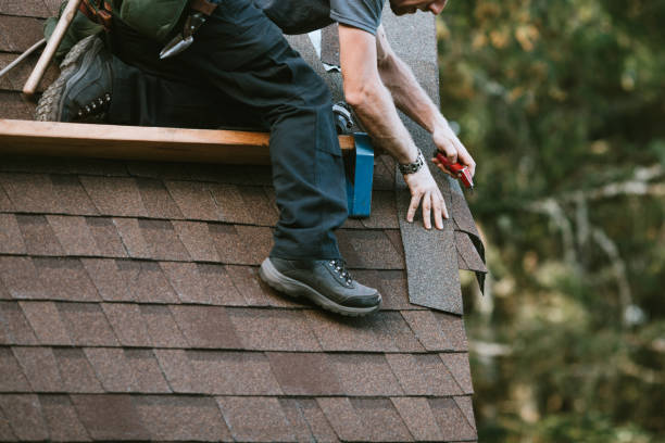Best Roof Leak Repair  in Carson City, MI